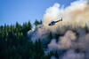 Helicopter pouring water on a forest fire